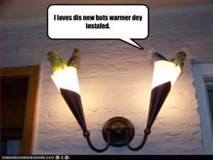 funny-pictures-birds-like-butt-warmer.jpgfgjhiljhdgil